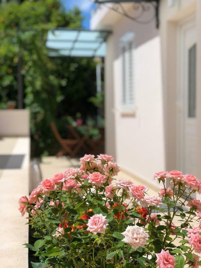 Apartment Eden